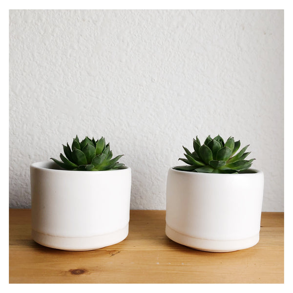 set of succulent pots Set of Succulent Pots (small) – Honore Jones