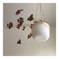 Hanging Planter (small)